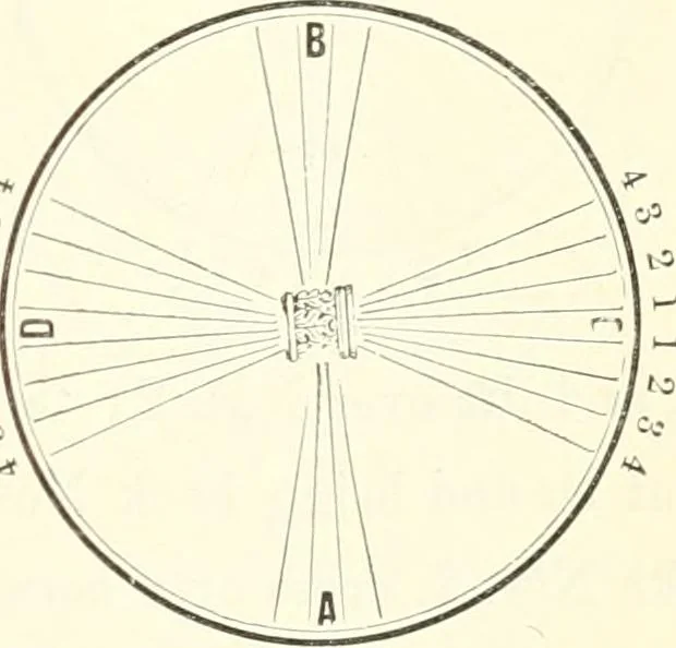 An illustration from Self-instructor in the art of hair work, dressing hair, making curls, switches, braids, and hair jewelry of every description, 1867, leaf 82