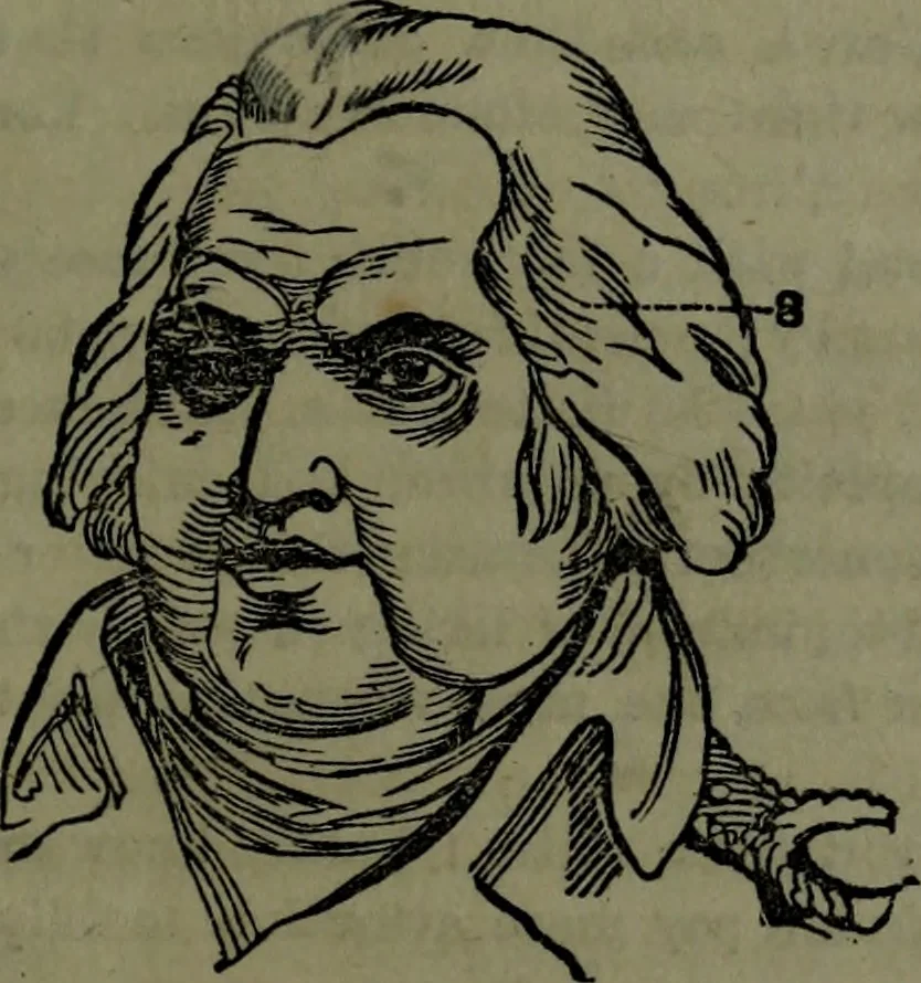 An illustration from The self-instructor in phrenology and physiology : with over one hundred new illustrations, including a chart for the use of practical phrenologists., 1890, leaf 104