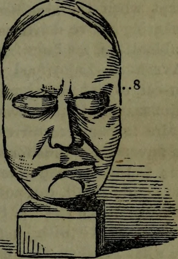 An illustration from The self-instructor in phrenology and physiology : with over one hundred new illustrations, including a chart for the use of practical phrenologists., 1890, leaf 104