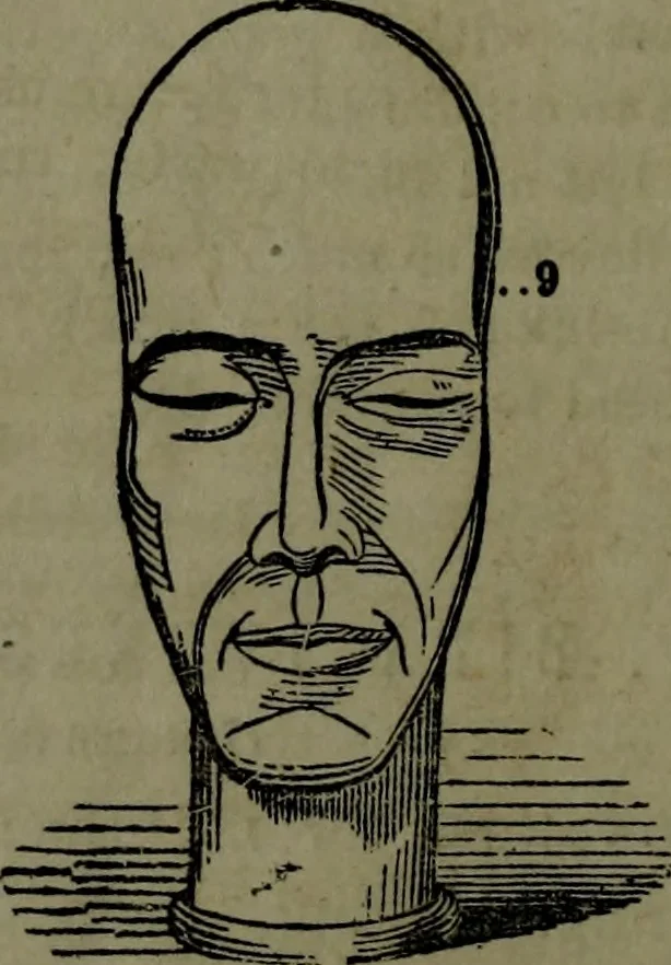 An illustration from The self-instructor in phrenology and physiology : with over one hundred new illustrations, including a chart for the use of practical phrenologists., 1890, leaf 107
