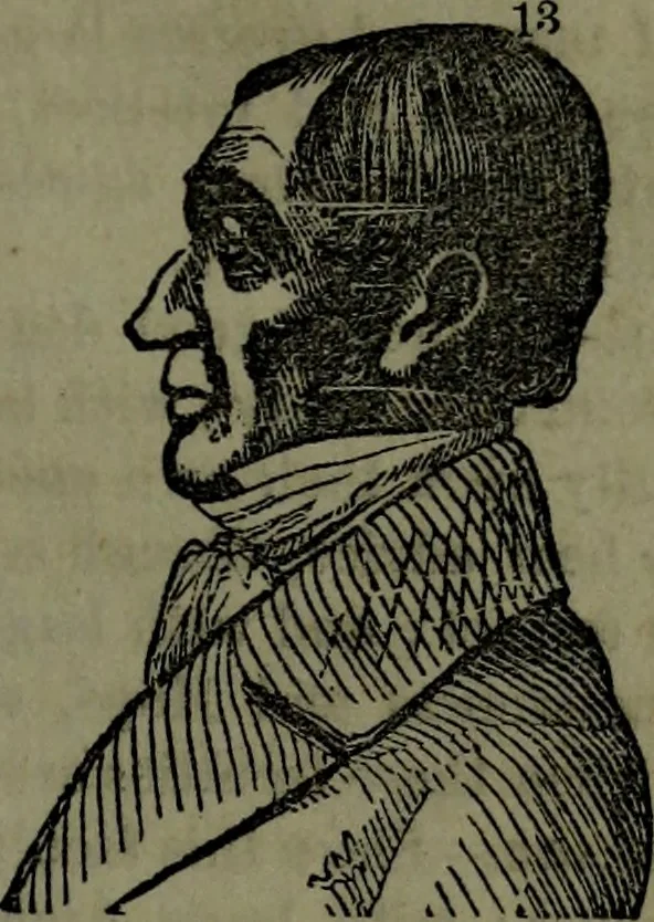 An illustration from The self-instructor in phrenology and physiology : with over one hundred new illustrations, including a chart for the use of practical phrenologists., 1890, leaf 118