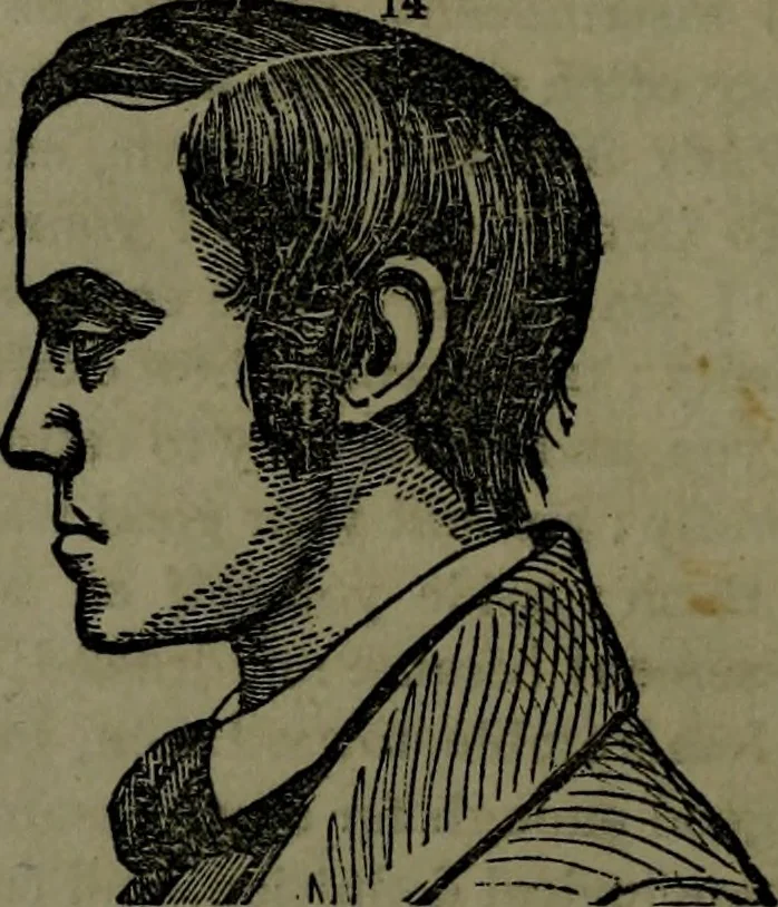 An illustration from The self-instructor in phrenology and physiology : with over one hundred new illustrations, including a chart for the use of practical phrenologists., 1890, leaf 121