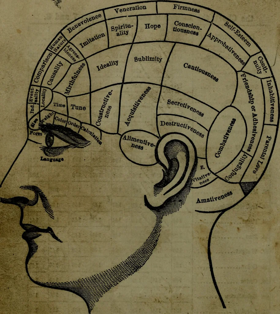 An illustration from The self-instructor in phrenology and physiology : with over one hundred new illustrations, including a chart for the use of practical phrenologists., 1890, leaf 13