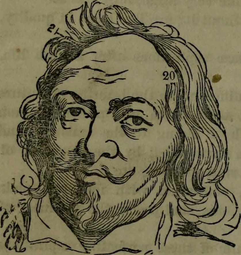 An illustration from The self-instructor in phrenology and physiology : with over one hundred new illustrations, including a chart for the use of practical phrenologists., 1890, leaf 137