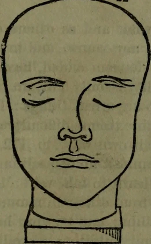 An illustration from The self-instructor in phrenology and physiology : with over one hundred new illustrations, including a chart for the use of practical phrenologists., 1890, leaf 142