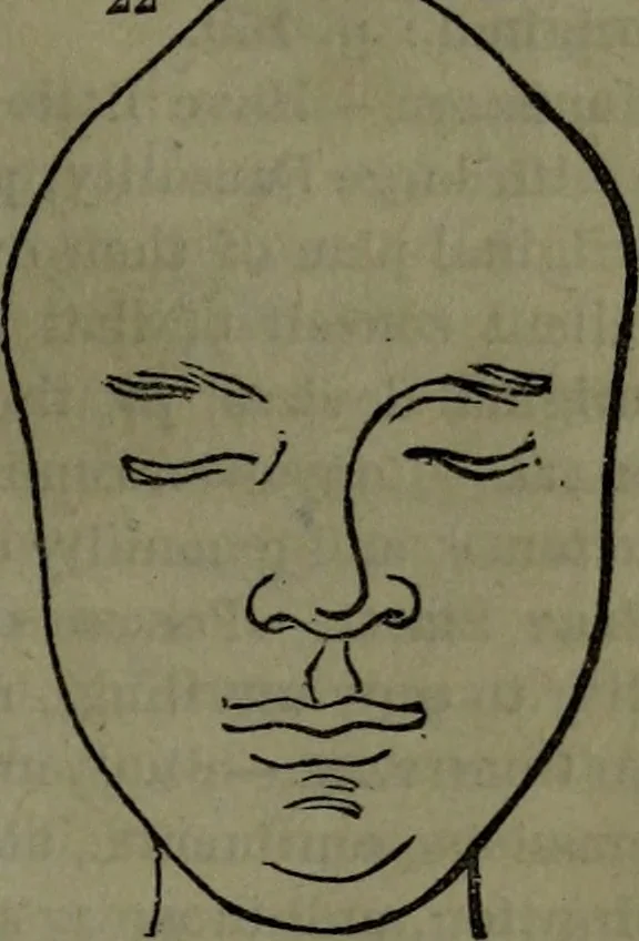An illustration from The self-instructor in phrenology and physiology : with over one hundred new illustrations, including a chart for the use of practical phrenologists., 1890, leaf 142