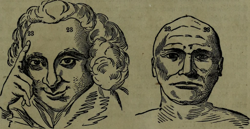 An illustration from The self-instructor in phrenology and physiology : with over one hundred new illustrations, including a chart for the use of practical phrenologists., 1890, leaf 144