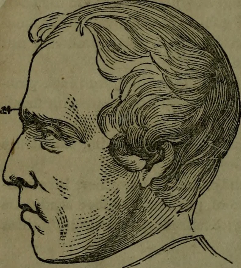 An illustration from The self-instructor in phrenology and physiology : with over one hundred new illustrations, including a chart for the use of practical phrenologists., 1890, leaf 149