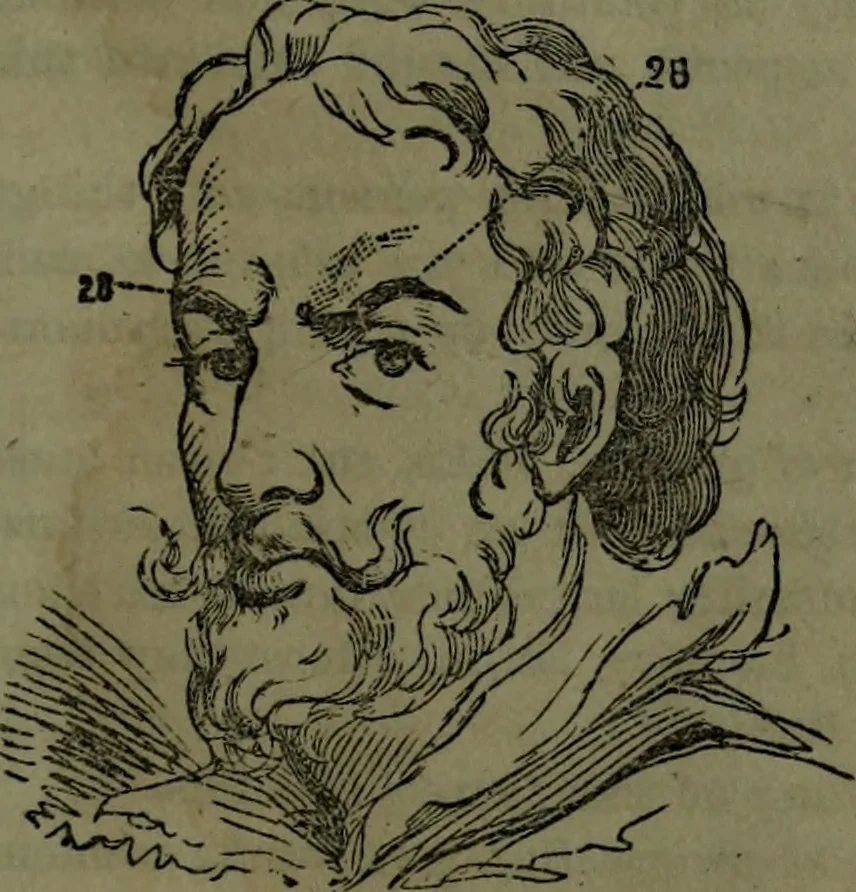 An illustration from The self-instructor in phrenology and physiology : with over one hundred new illustrations, including a chart for the use of practical phrenologists., 1890, leaf 150