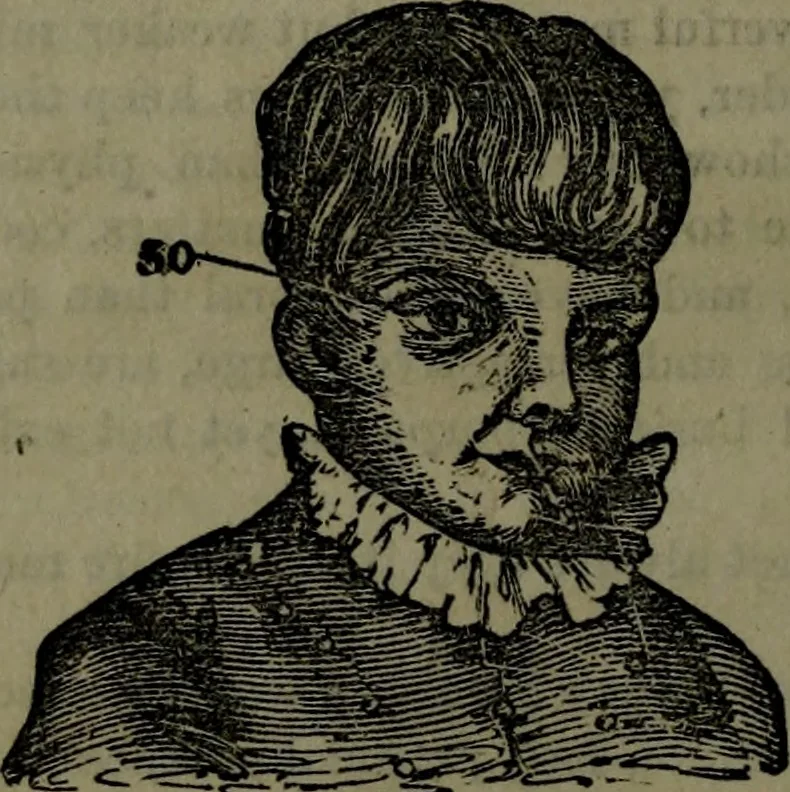 An illustration from The self-instructor in phrenology and physiology : with over one hundred new illustrations, including a chart for the use of practical phrenologists., 1890, leaf 157