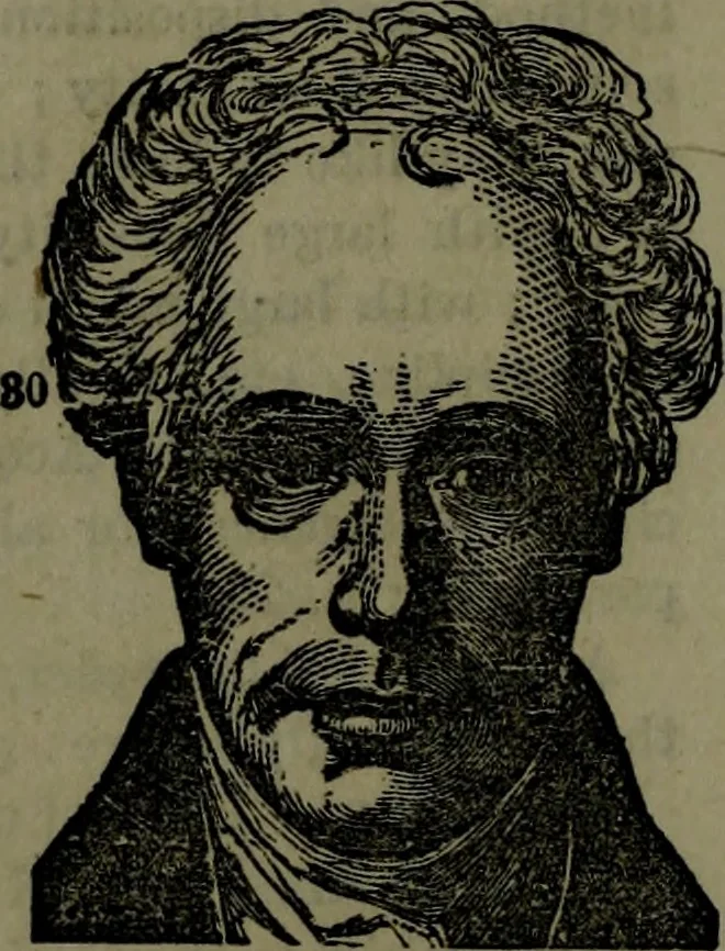 An illustration from The self-instructor in phrenology and physiology : with over one hundred new illustrations, including a chart for the use of practical phrenologists., 1890, leaf 157