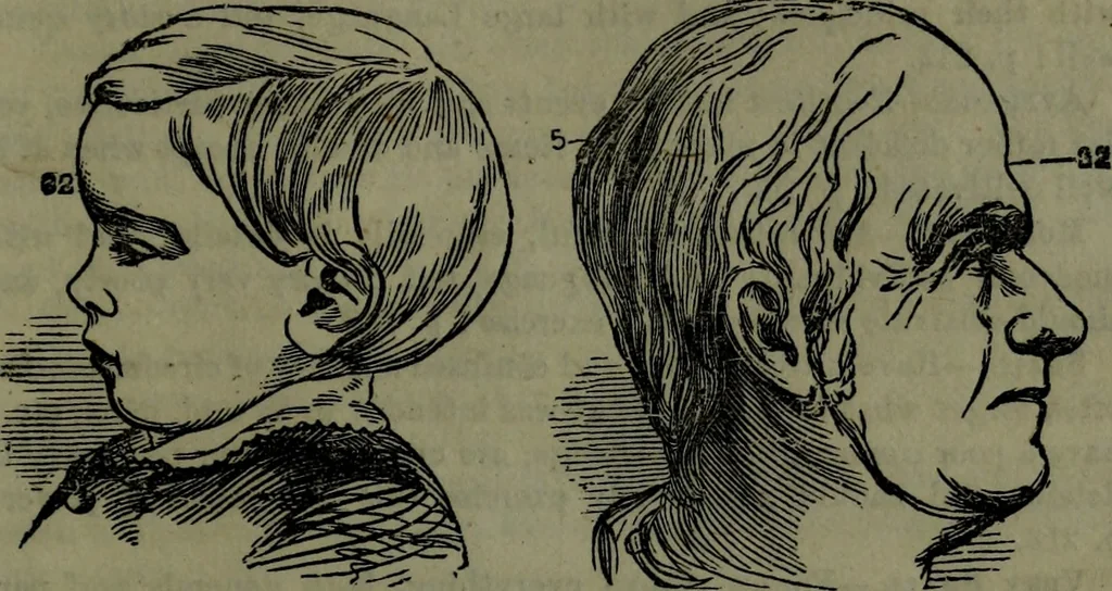 An illustration from The self-instructor in phrenology and physiology : with over one hundred new illustrations, including a chart for the use of practical phrenologists., 1890, leaf 160