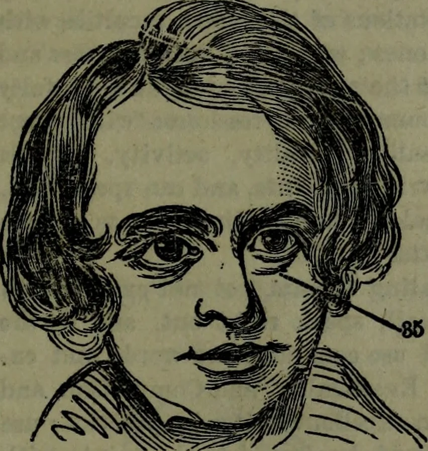 An illustration from The self-instructor in phrenology and physiology : with over one hundred new illustrations, including a chart for the use of practical phrenologists., 1890, leaf 164