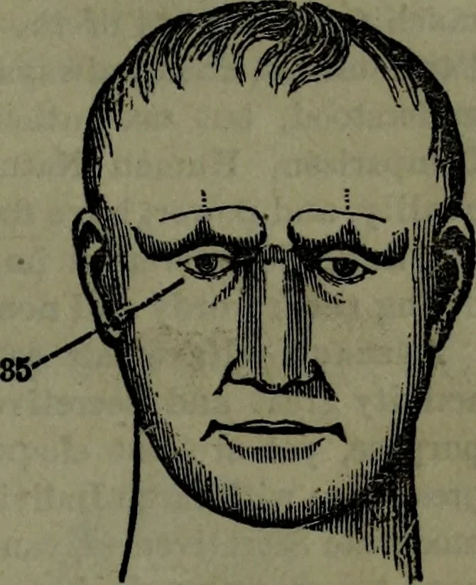 An illustration from The self-instructor in phrenology and physiology : with over one hundred new illustrations, including a chart for the use of practical phrenologists., 1890, leaf 164