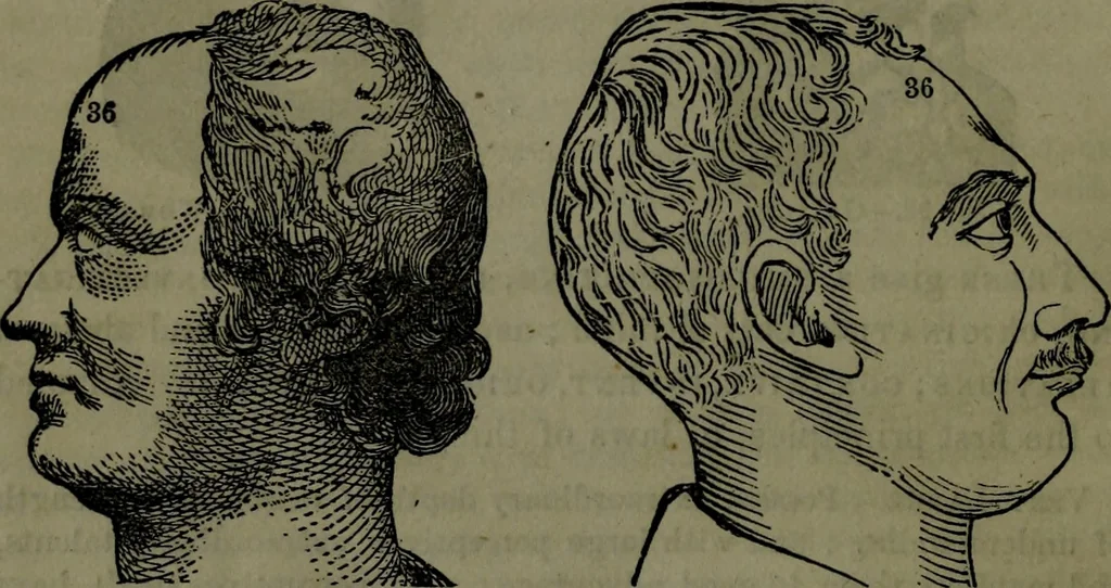 An illustration from The self-instructor in phrenology and physiology : with over one hundred new illustrations, including a chart for the use of practical phrenologists., 1890, leaf 167