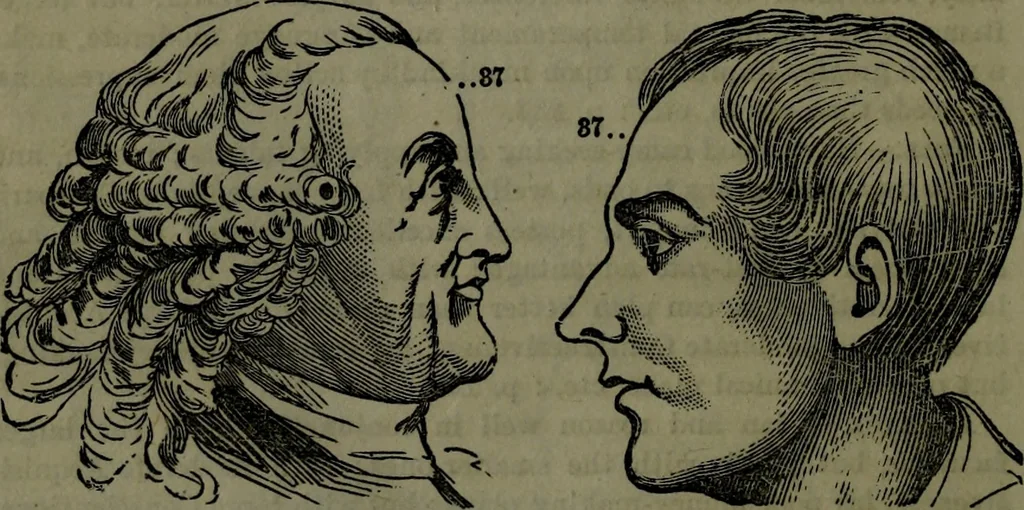 An illustration from The self-instructor in phrenology and physiology : with over one hundred new illustrations, including a chart for the use of practical phrenologists., 1890, leaf 169