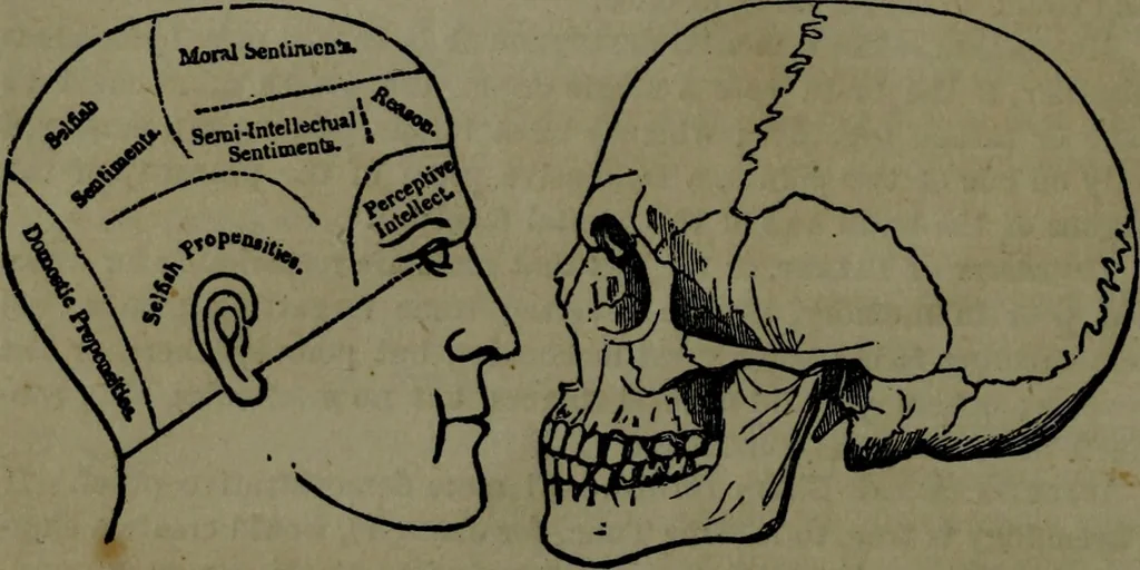 An illustration from The self-instructor in phrenology and physiology : with over one hundred new illustrations, including a chart for the use of practical phrenologists., 1890, leaf 69