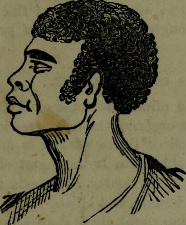 An illustration from The self-instructor in phrenology and physiology : with over one hundred new illustrations, including a chart for the use of practical phrenologists., 1890, leaf 72