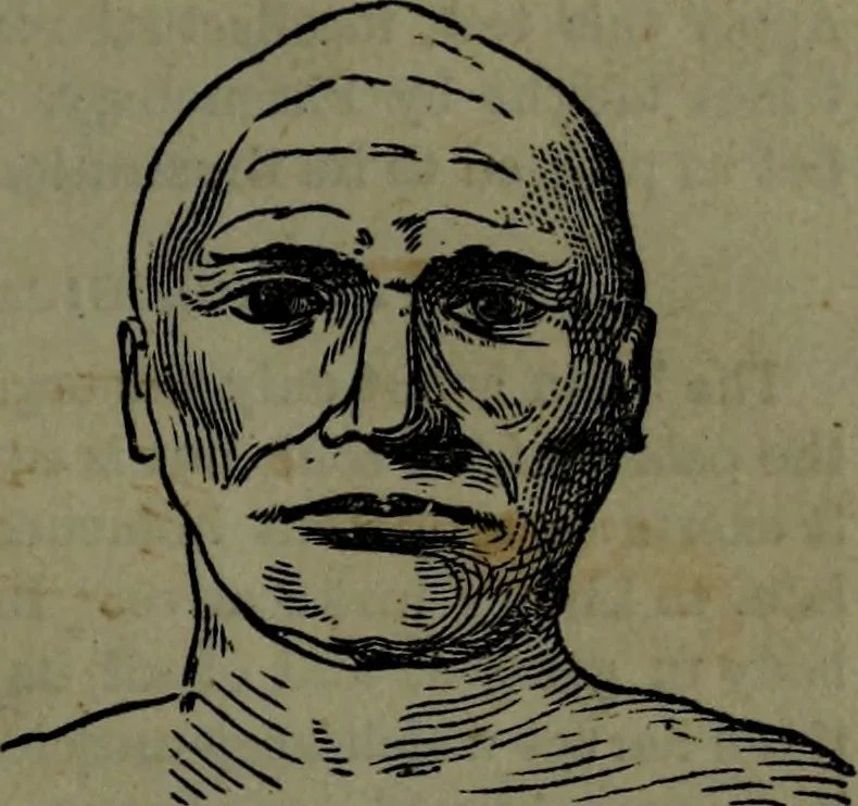 An illustration from The self-instructor in phrenology and physiology : with over one hundred new illustrations, including a chart for the use of practical phrenologists., 1890, leaf 72
