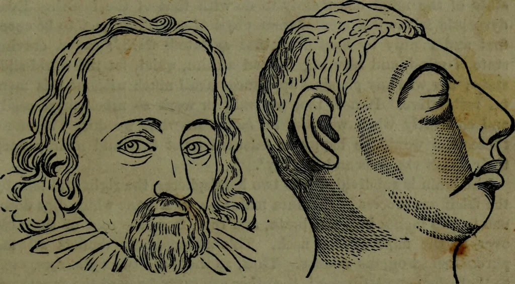 An illustration from The self-instructor in phrenology and physiology : with over one hundred new illustrations, including a chart for the use of practical phrenologists., 1890, leaf 72