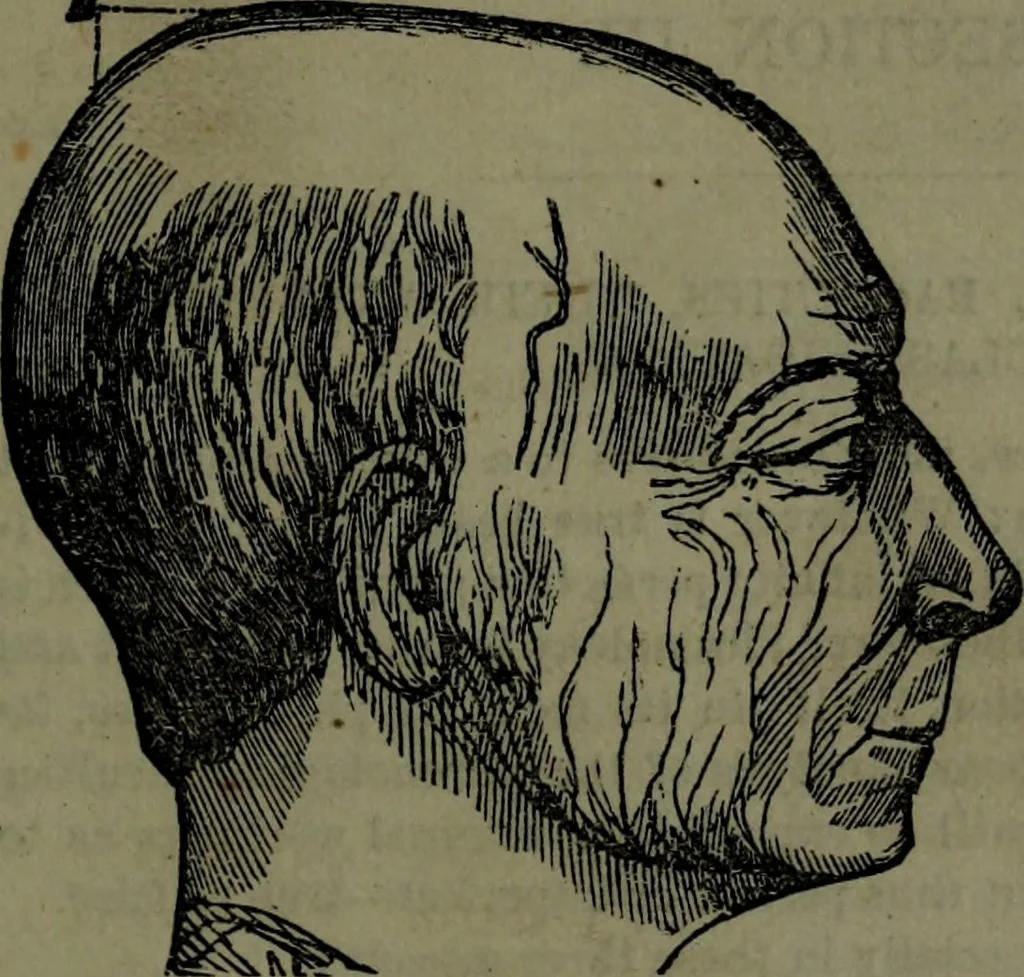 An illustration from The self-instructor in phrenology and physiology : with over one hundred new illustrations, including a chart for the use of practical phrenologists., 1890, leaf 76