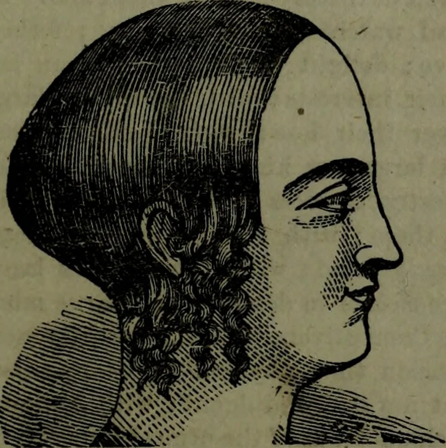 An illustration from The self-instructor in phrenology and physiology : with over one hundred new illustrations, including a chart for the use of practical phrenologists., 1890, leaf 88