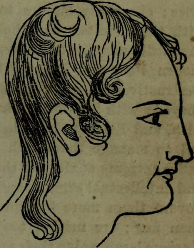 An illustration from The self-instructor in phrenology and physiology : with over one hundred new illustrations, including a chart for the use of practical phrenologists., 1890, leaf 88