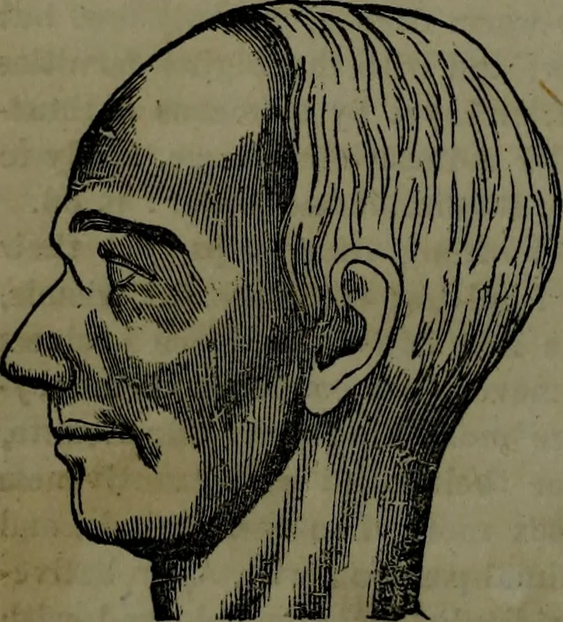 An illustration from The self-instructor in phrenology and physiology : with over one hundred new illustrations, including a chart for the use of practical phrenologists., 1890, leaf 93