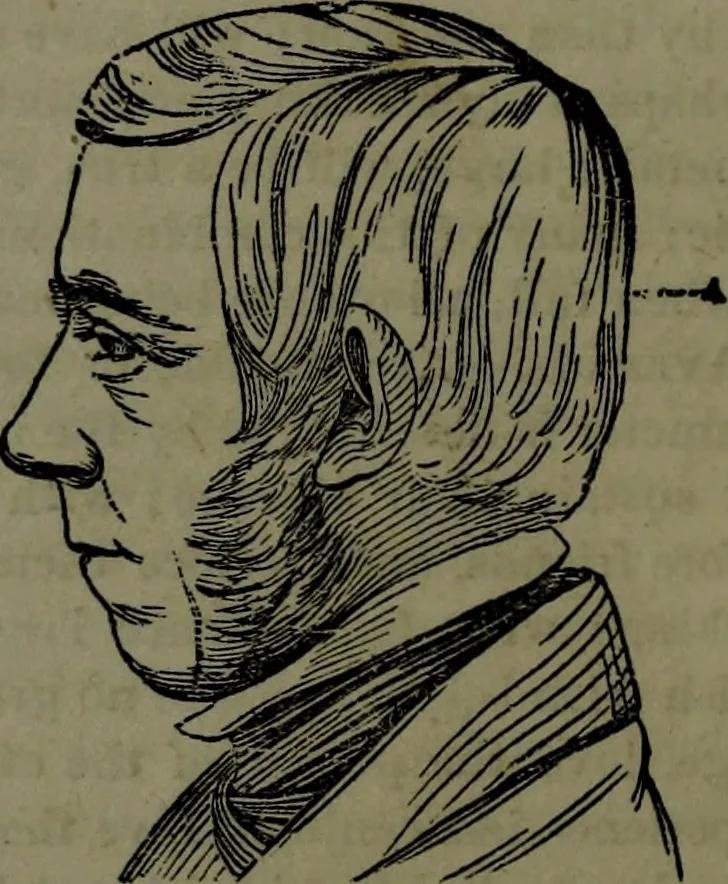 An illustration from The self-instructor in phrenology and physiology : with over one hundred new illustrations, including a chart for the use of practical phrenologists., 1890, leaf 93
