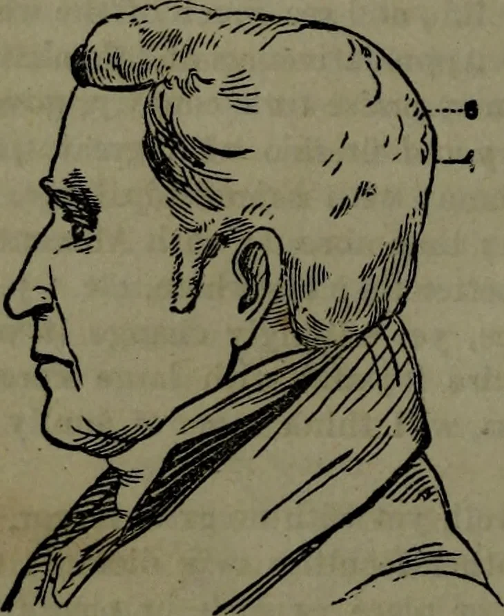 An illustration from The self-instructor in phrenology and physiology : with over one hundred new illustrations, including a chart for the use of practical phrenologists., 1890, leaf 95