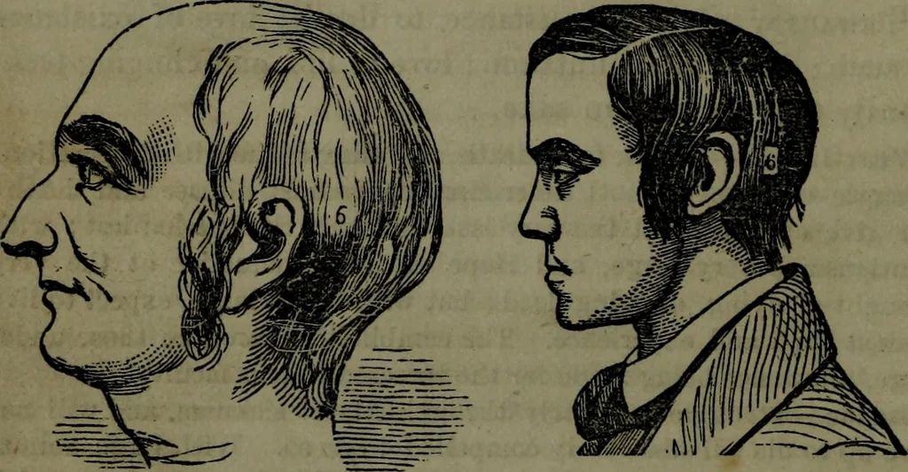 An illustration from The self-instructor in phrenology and physiology : with over one hundred new illustrations, including a chart for the use of practical phrenologists., 1890, leaf 99