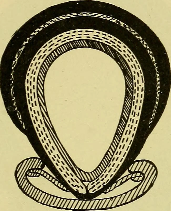 An illustration from Self-propelled vehicles; a practical treatise on the theory, construction, operation, care and management of all forms of automobiles, 1906, leaf 134