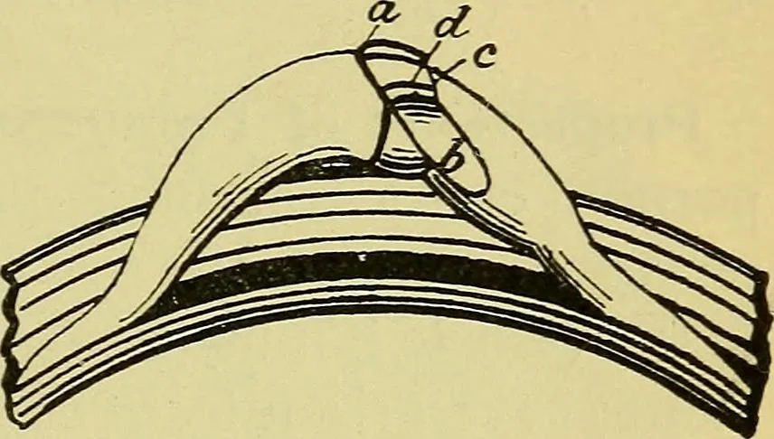An illustration from Self-propelled vehicles; a practical treatise on the theory, construction, operation, care and management of all forms of automobiles, 1906, leaf 144