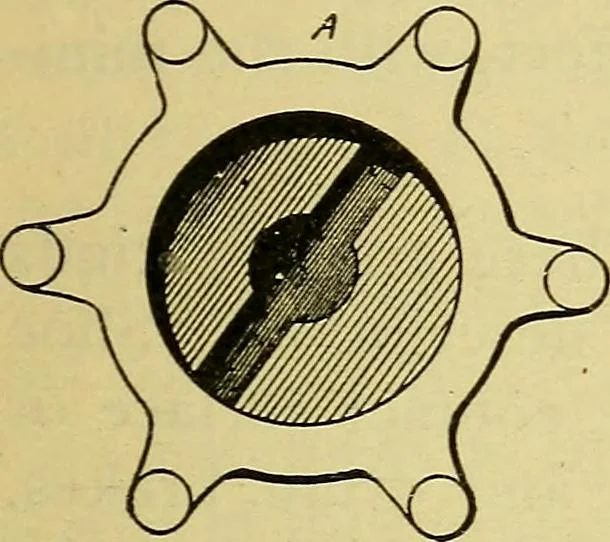 An illustration from Self-propelled vehicles; a practical treatise on the theory, construction, operation, care and management of all forms of automobiles, 1906, leaf 158