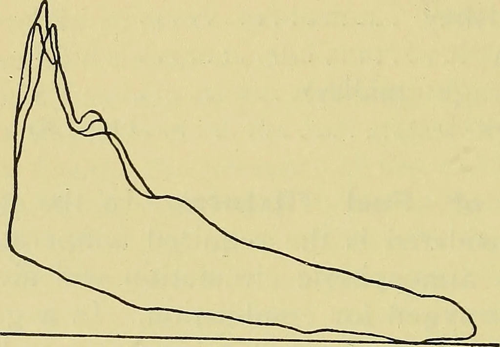 An illustration from Self-propelled vehicles; a practical treatise on the theory, construction, operation, care and management of all forms of automobiles, 1906, leaf 221