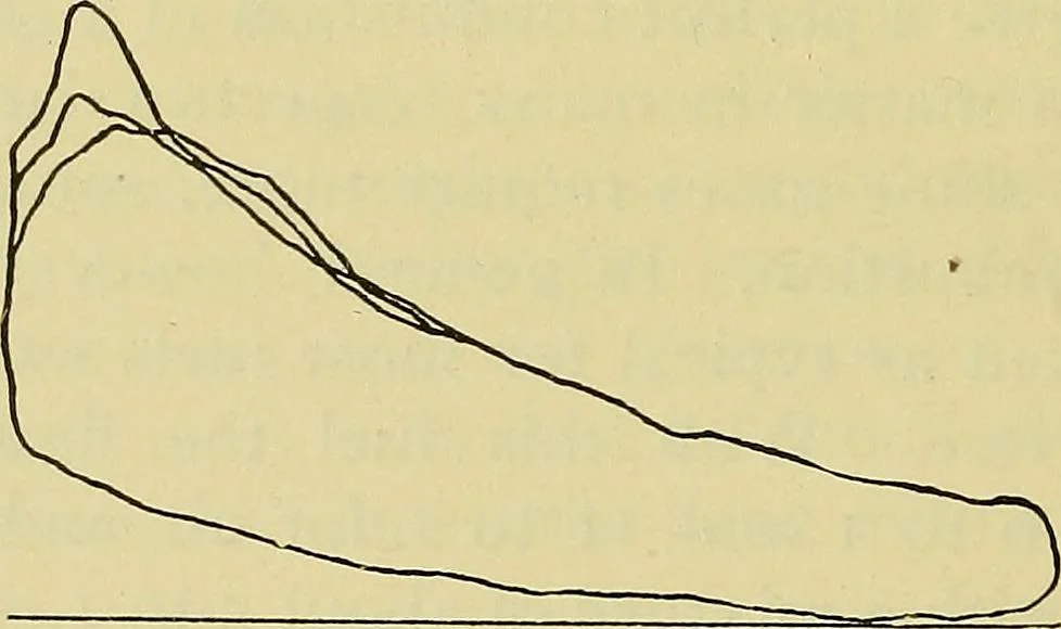An illustration from Self-propelled vehicles; a practical treatise on the theory, construction, operation, care and management of all forms of automobiles, 1906, leaf 221