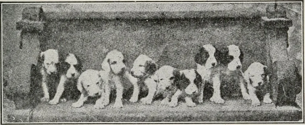 An illustration from Advertising and selling; principles of appeal and response, 1920, leaf 192