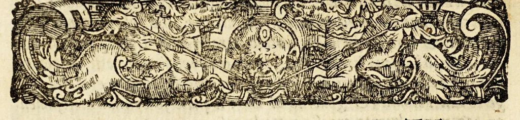 An illustration from Selua di uaria lettione, 1566, leaf 134