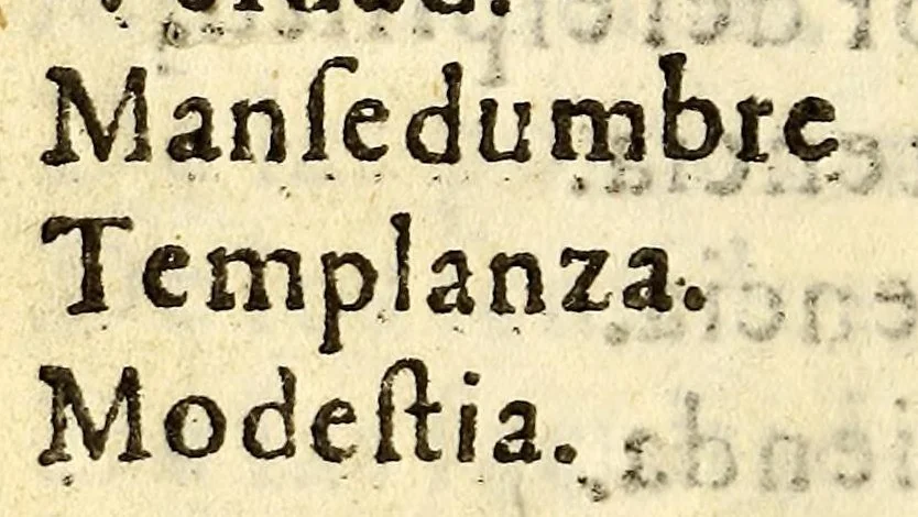 An illustration from Semanas espirituales., 1641, leaf 218