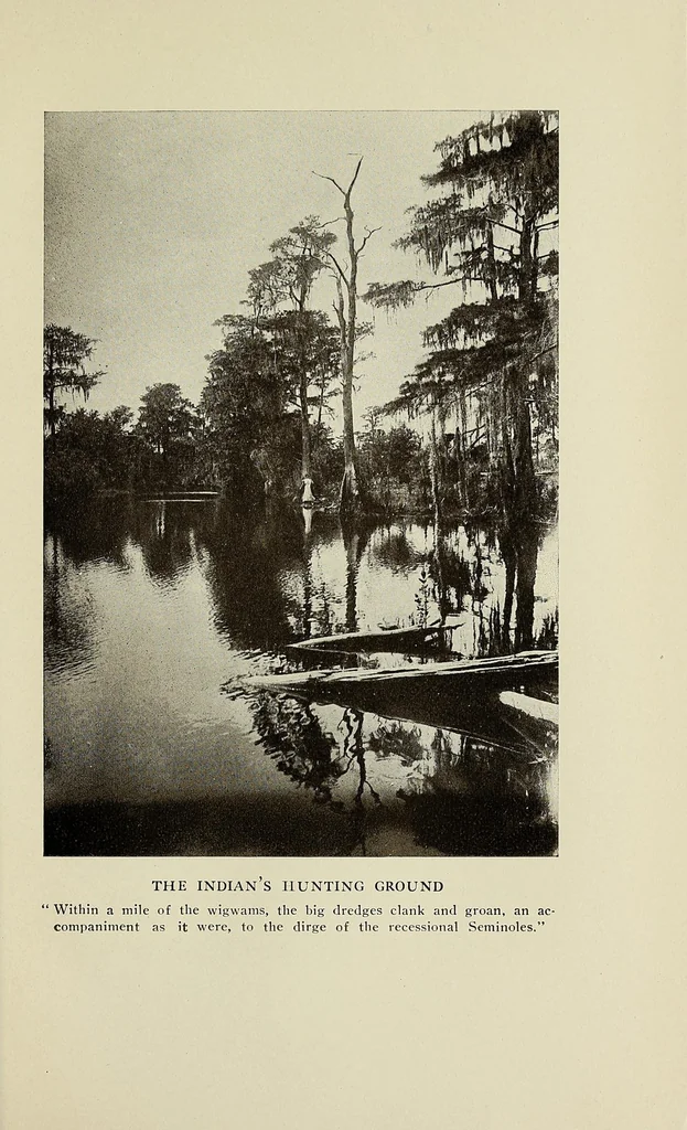 An illustration from The Seminoles of Florida, 1910, leaf 219