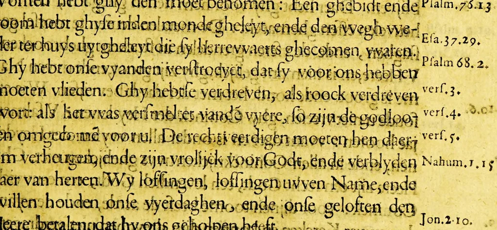 An illustration from Sené-boher. : Brandende-bosch uyt welckers voncken, d' over-groote victorie vande sterke stadt s' Hertoghen-bosch, door Gods sonderlinghe ghenade, op den 17. septembris, 1629 ... ontstaen is. ..., 1630, leaf 545