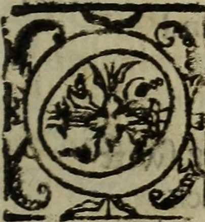 An illustration from Seneca his tenne tragedies, 1581, leaf 128
