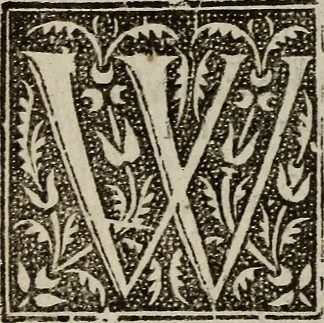 An illustration from Seneca his tenne tragedies, 1581, leaf 267