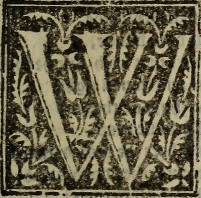 An illustration from Seneca his tenne tragedies, 1581, leaf 324