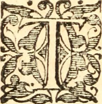 An illustration from Senensis de regno et regis institvtione libri IX ad Alphonsvm Aragonivm inclytvm acce leberrimum Calabriae Ducem scripti... Editio postrema, 1594, leaf 585