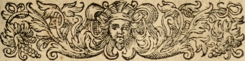 An illustration from Senensis de regno et regis institvtione libri IX ad Alphonsvm Aragonivm inclytvm acce leberrimum Calabriae Ducem scripti... Editio postrema, 1594, leaf 698