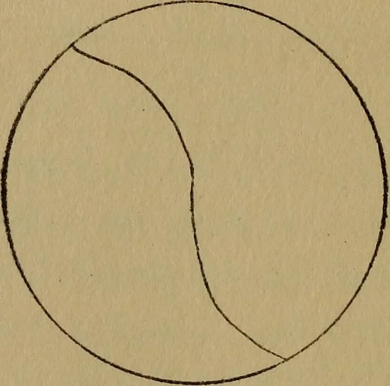 An illustration from Sense training for children's development in the form of simplified games and exercises, 1919, leaf 179