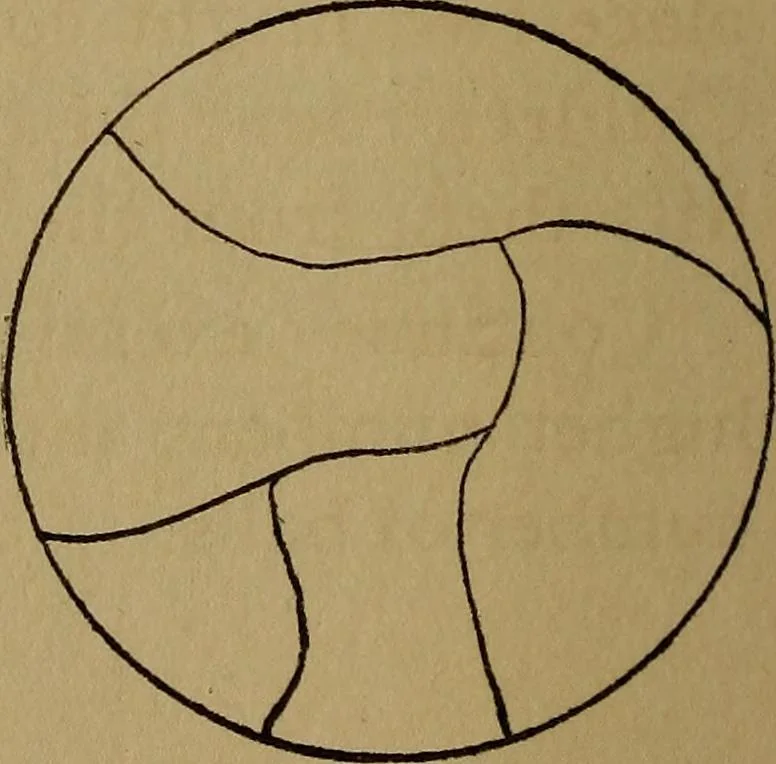 An illustration from Sense training for children's development in the form of simplified games and exercises, 1919, leaf 227