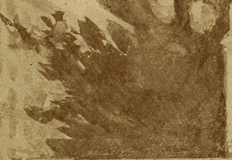 An illustration from Sense training for children's development in the form of simplified games and exercises, 1919, leaf 70