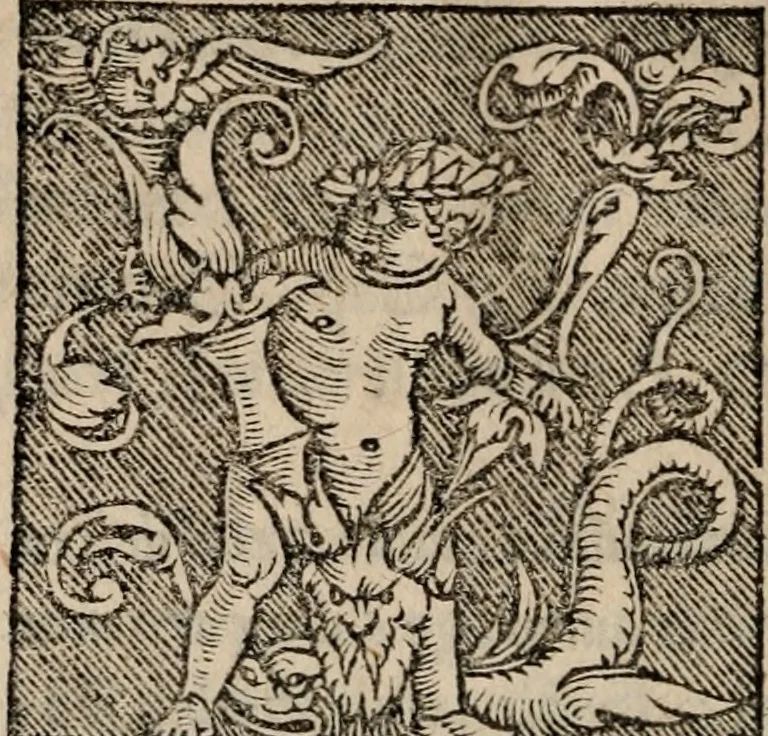 An illustration from Sentenciae ex doctoribvs collectae, qvas papistæ ualde impudenter hodie damnant, 1536, leaf 155